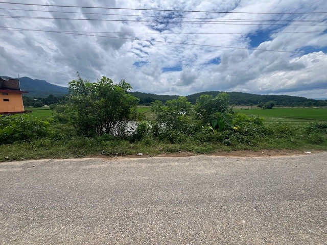 Birendranagar, Chitwan